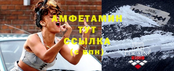 винт Алзамай