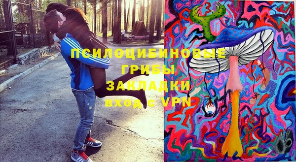 СК Ветлуга