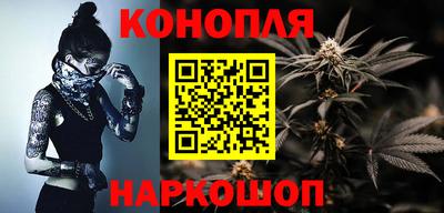 прущие крисы Малгобек