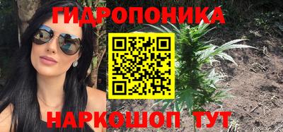 прущие крисы Малгобек
