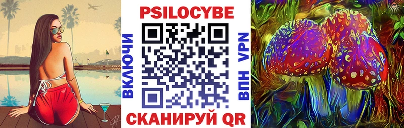 где купить наркоту  Дзержинский  Галлюциногенные грибы Psilocybe 