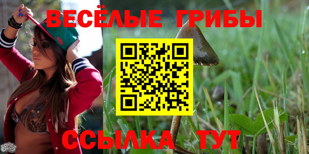 МДМА  Мефедрон  Канабис  Меф МЯУ МЯУ   Дзержинский  ГАШИШ  Кокаин  Вход с VPN 
